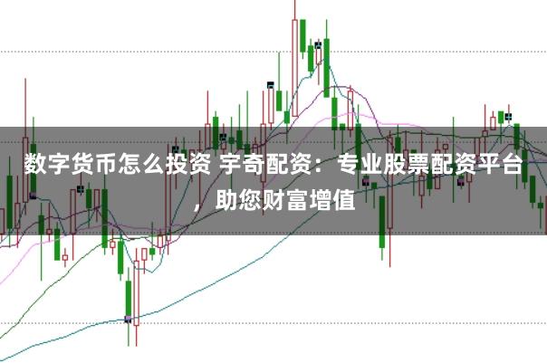 数字货币怎么投资 宇奇配资：专业股票配资平台，助您财富增值