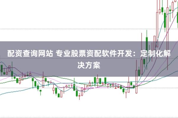 配资查询网站 专业股票资配软件开发：定制化解决方案