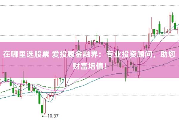 在哪里选股票 爱投顾金融界：专业投资顾问，助您财富增值！