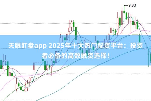 天眼盯盘app 2025年十大热门配资平台：投资者必备的高效融资选择！