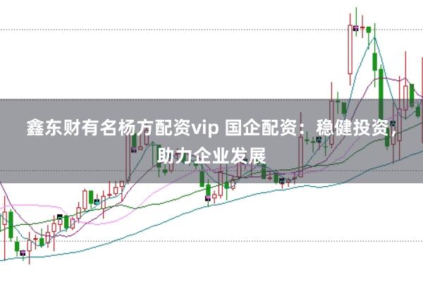 鑫东财有名杨方配资vip 国企配资：稳健投资，助力企业发展