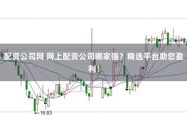 配资公司网 网上配资公司哪家强？精选平台助您盈利！