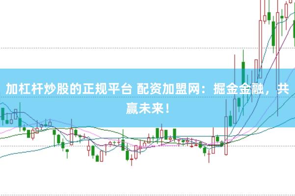 加杠杆炒股的正规平台 配资加盟网：掘金金融，共赢未来！