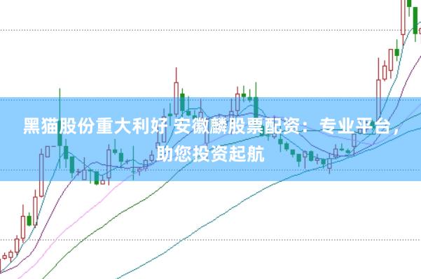 黑猫股份重大利好 安徽麟股票配资：专业平台，助您投资起航
