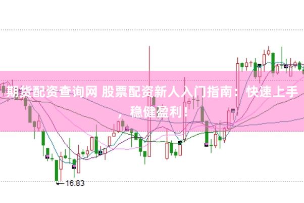 期货配资查询网 股票配资新人入门指南：快速上手，稳健盈利！