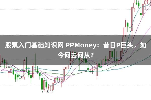 股票入门基础知识网 PPMoney：昔日P巨头，如今何去何从？