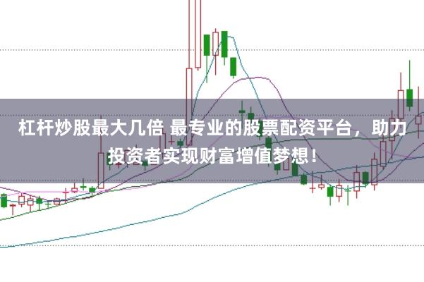 杠杆炒股最大几倍 最专业的股票配资平台，助力投资者实现财富增值梦想！