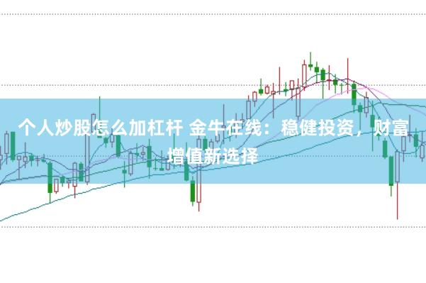 个人炒股怎么加杠杆 金牛在线：稳健投资，财富增值新选择