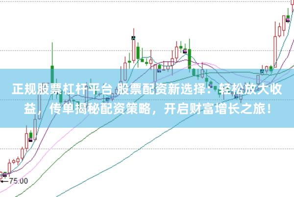 正规股票杠杆平台 股票配资新选择：轻松放大收益，传单揭秘配资策略，开启财富增长之旅！