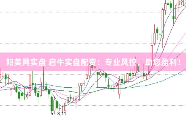 阳美网实盘 启牛实盘配资：专业风控，助您盈利！