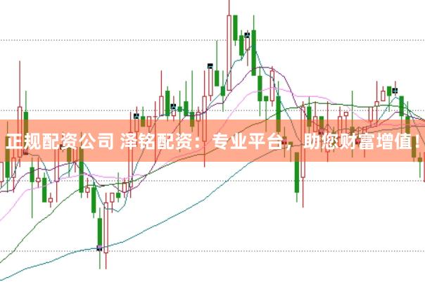 正规配资公司 泽铭配资：专业平台，助您财富增值！