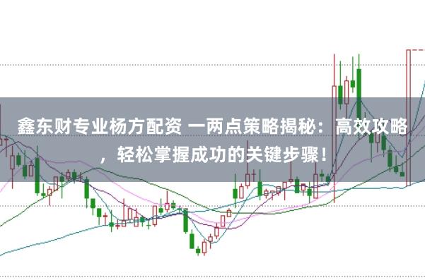 鑫东财专业杨方配资 一两点策略揭秘：高效攻略，轻松掌握成功的关键步骤！