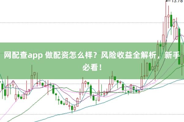 网配查app 做配资怎么样?风险收益全解析,新手必看!