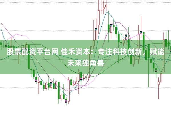 股票配资平台网 佳禾资本:专注科技创新,赋能未来独角兽