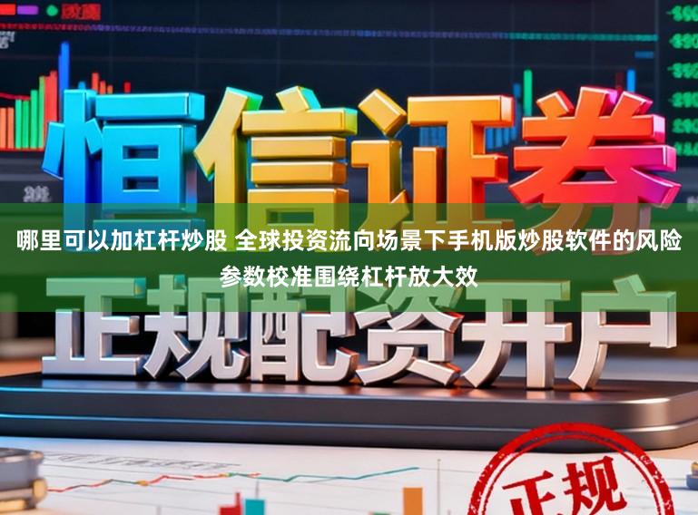 哪里可以加杠杆炒股 全球投资流向场景下手机版炒股软件的风险参数校准围绕杠杆放大效