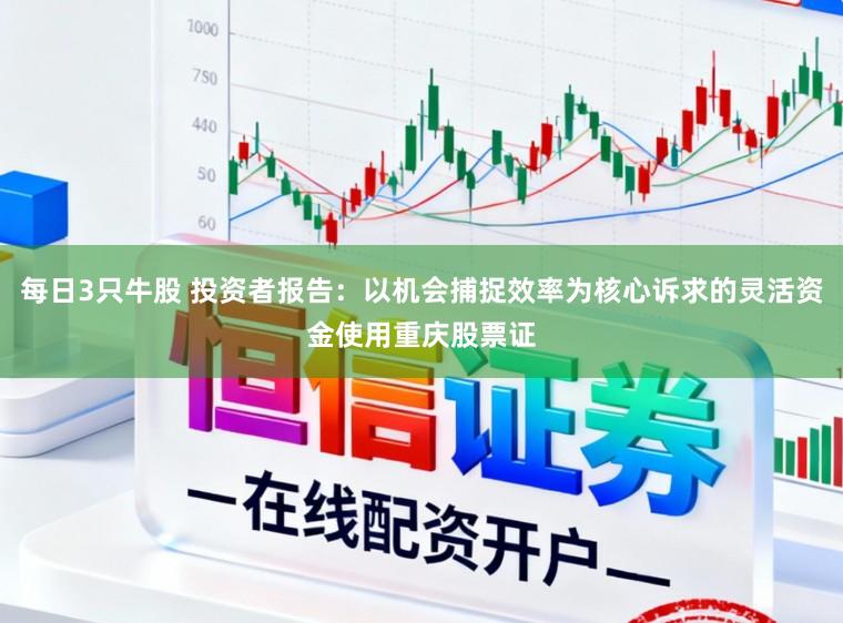 每日3只牛股 投资者报告：以机会捕捉效率为核心诉求的灵活资金使用重庆股票证