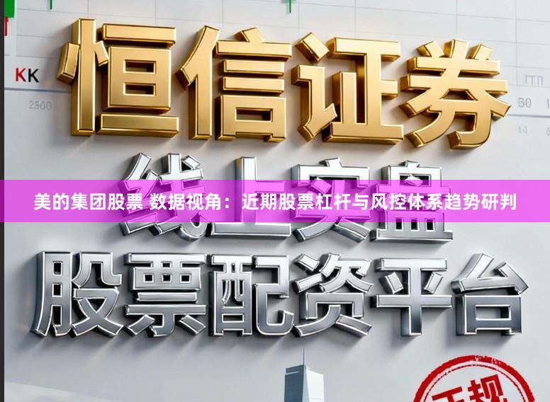 美的集团股票 数据视角：近期股票杠杆与风控体系趋势研判